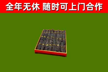 米易县回收海参